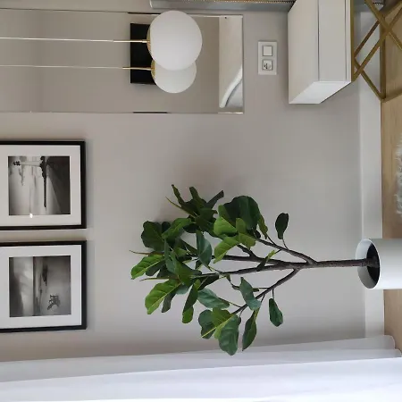 Apartman A Comfortable With A Swimming Pool And Sauna In For 4 People